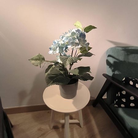 Apartamento Zabala Conoce Bilbao Desde Dentro Zewnętrze zdjęcie